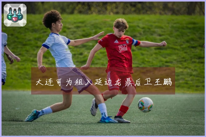 大连可为租入延边龙鼎后卫王鹏